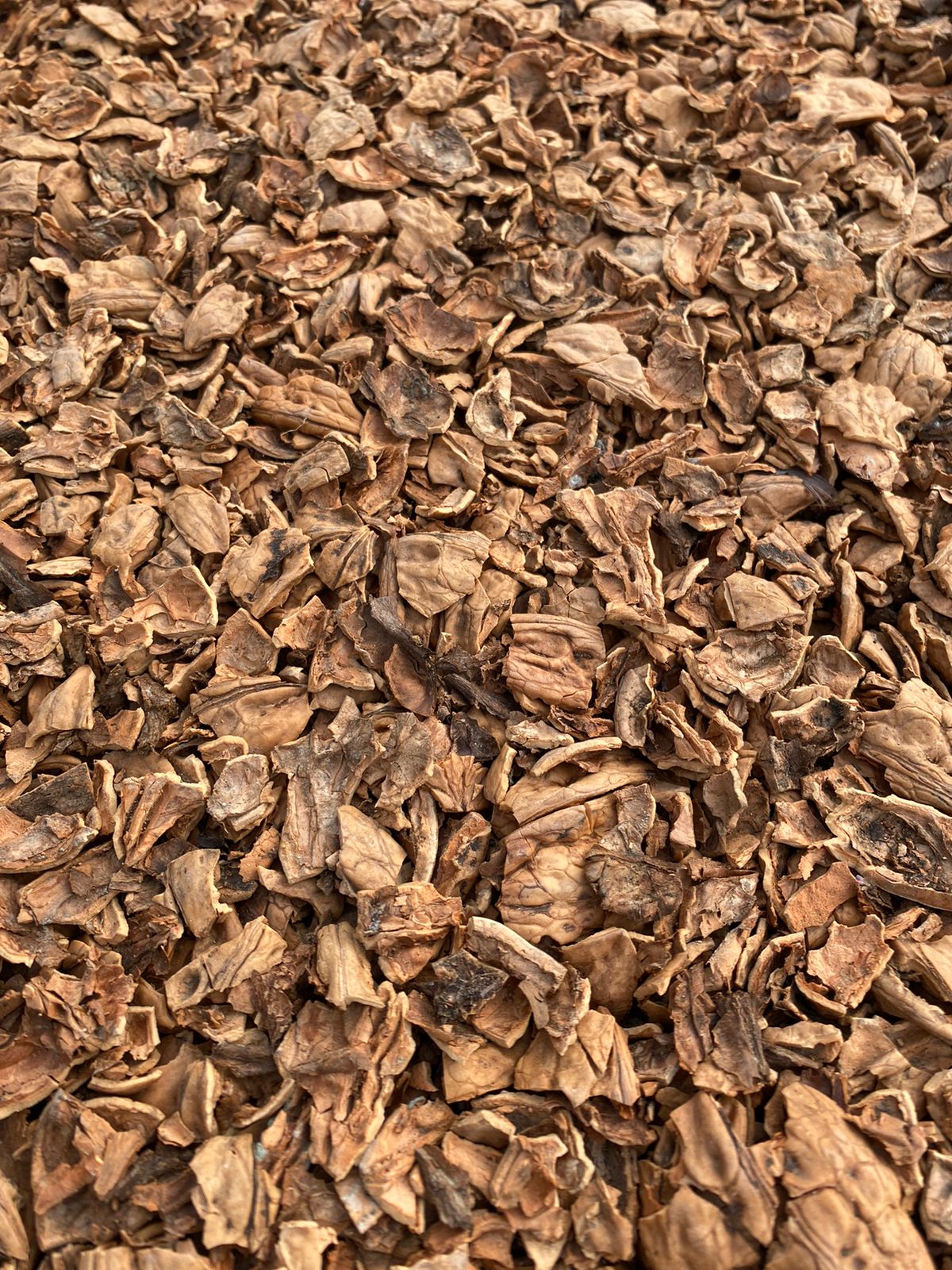 Mulch Cáscara de Nuez (tamaño M) Saco 40 Litros
