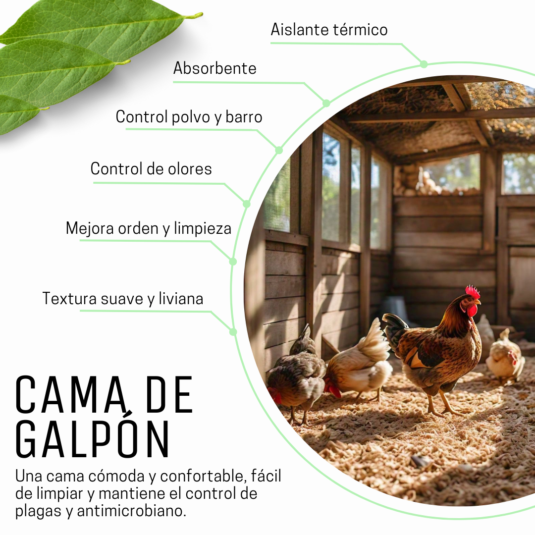 Cama Galpón Gallinero / Cáscara de Nuez (Arena)