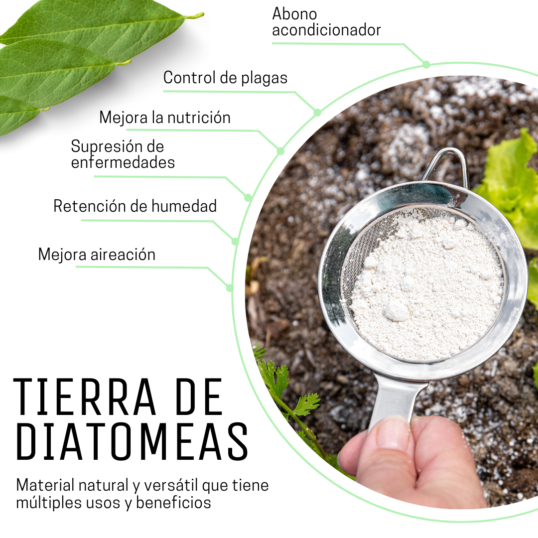 Tierra de Diatomeas 1kg.