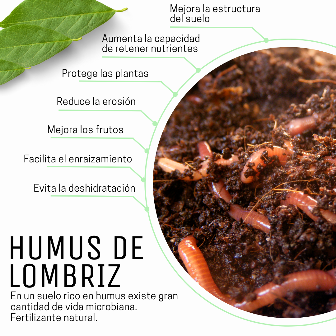 Humus Saco 25 Litros