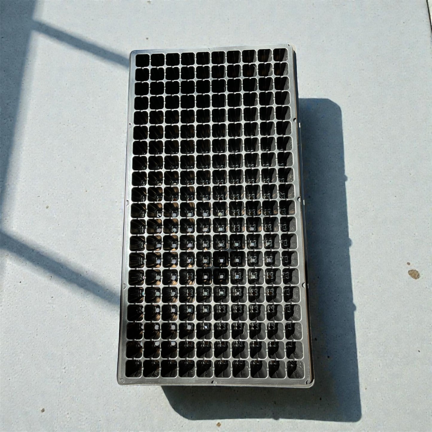 Almaciguera 200 cavidades