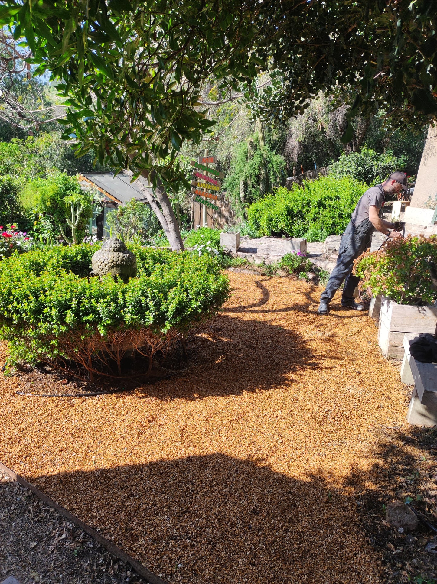 Mulch Cáscara de Nuez (tamaño S) Saco 40 Litros