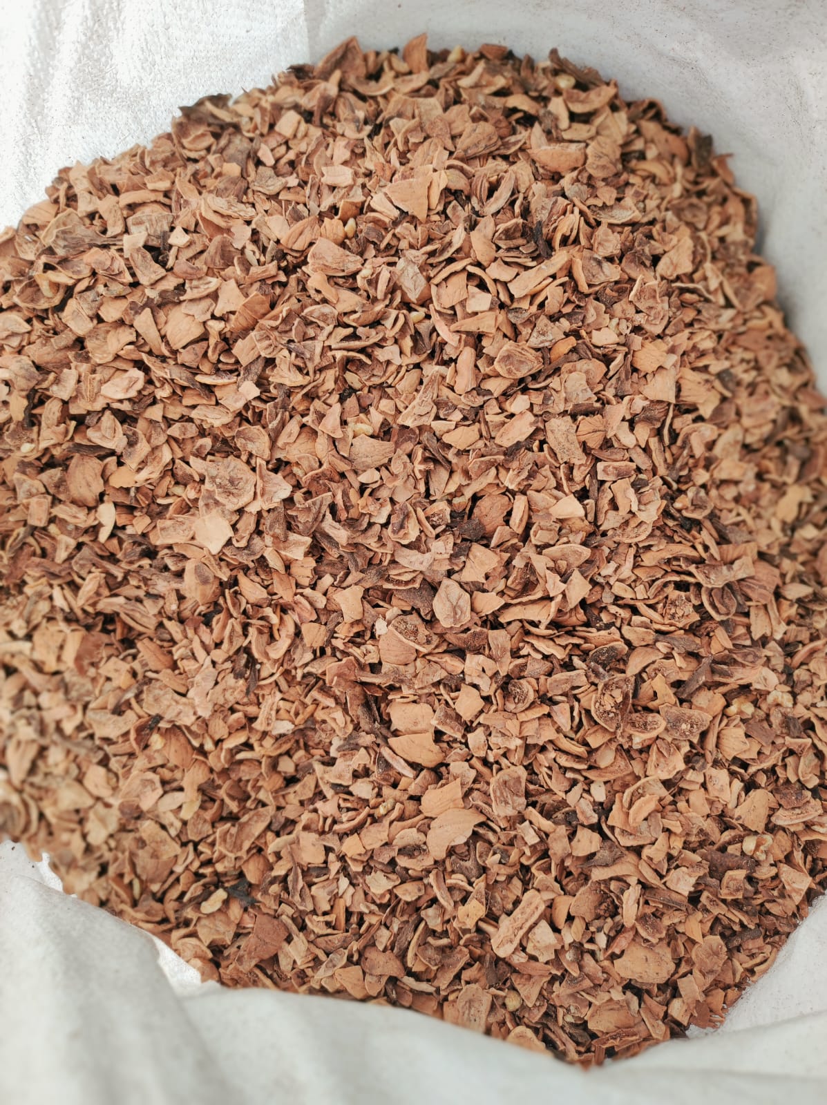 Mulch Cáscara de Nuez (tamaño S) Saco 40 Litros