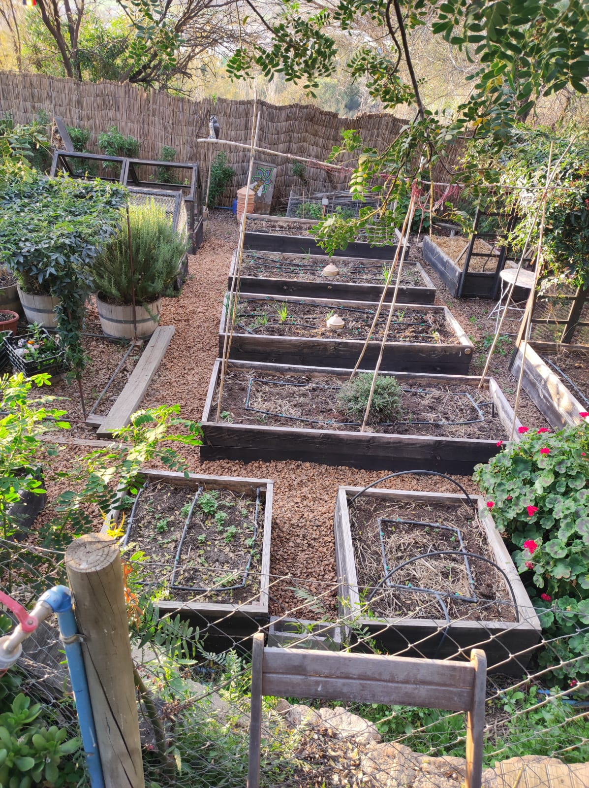 Mulch Cáscara de Nuez (tamaño M) (12-20mm) 1m3 - 25 sacos