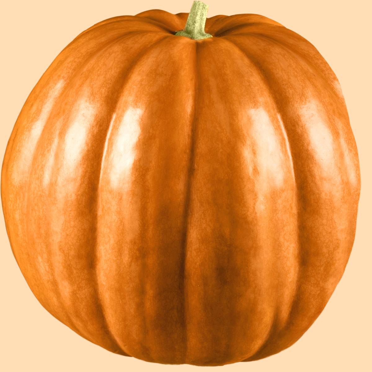 Semilla Zapallo