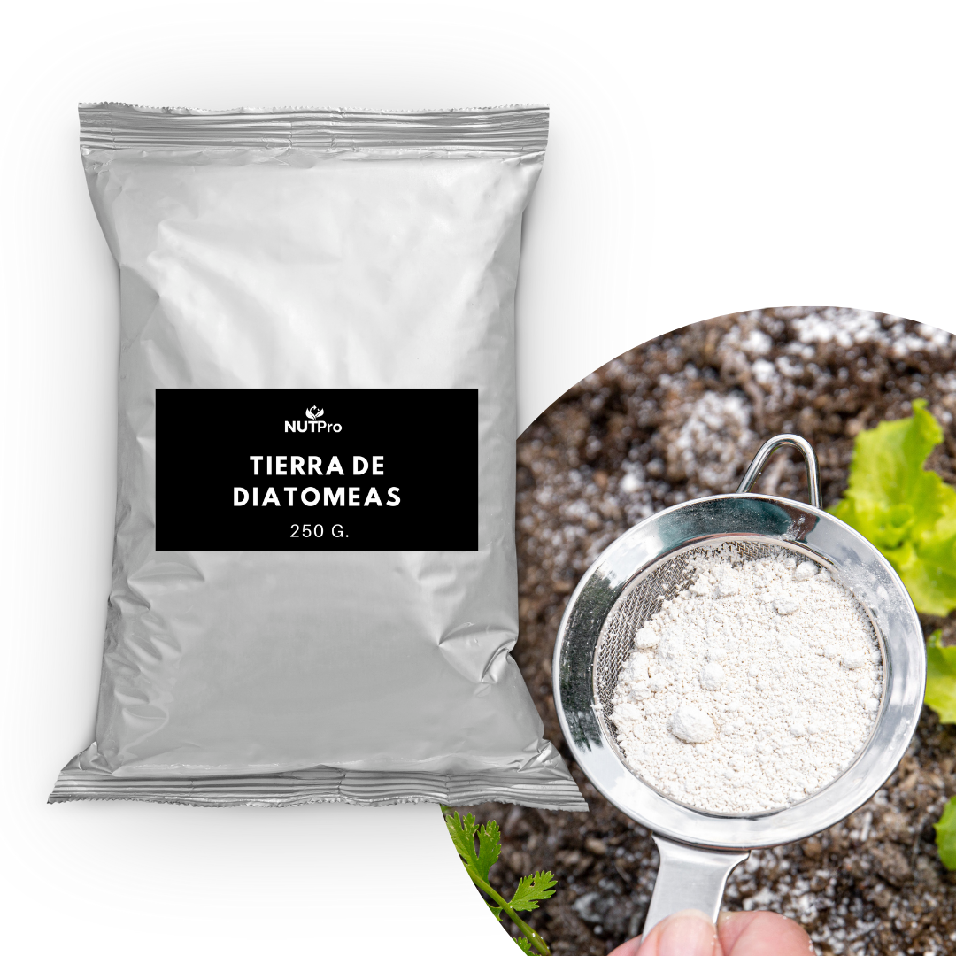 Tierra de Diatomeas 1kg.