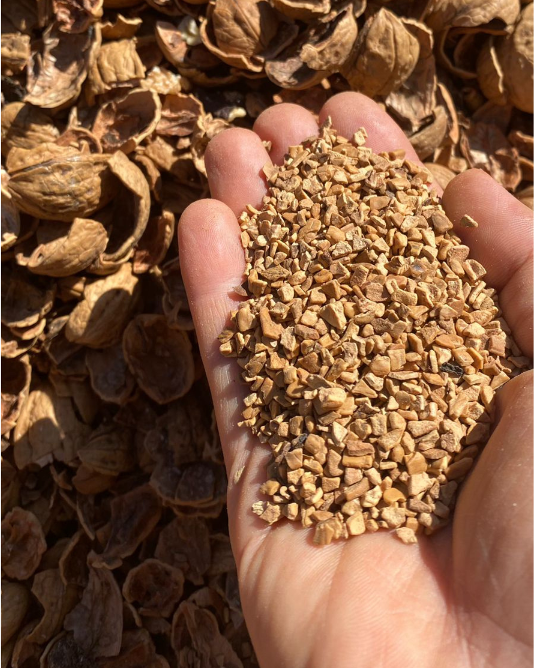 Innovación nueva alternativa a la turba y perlita con cáscara de nuez