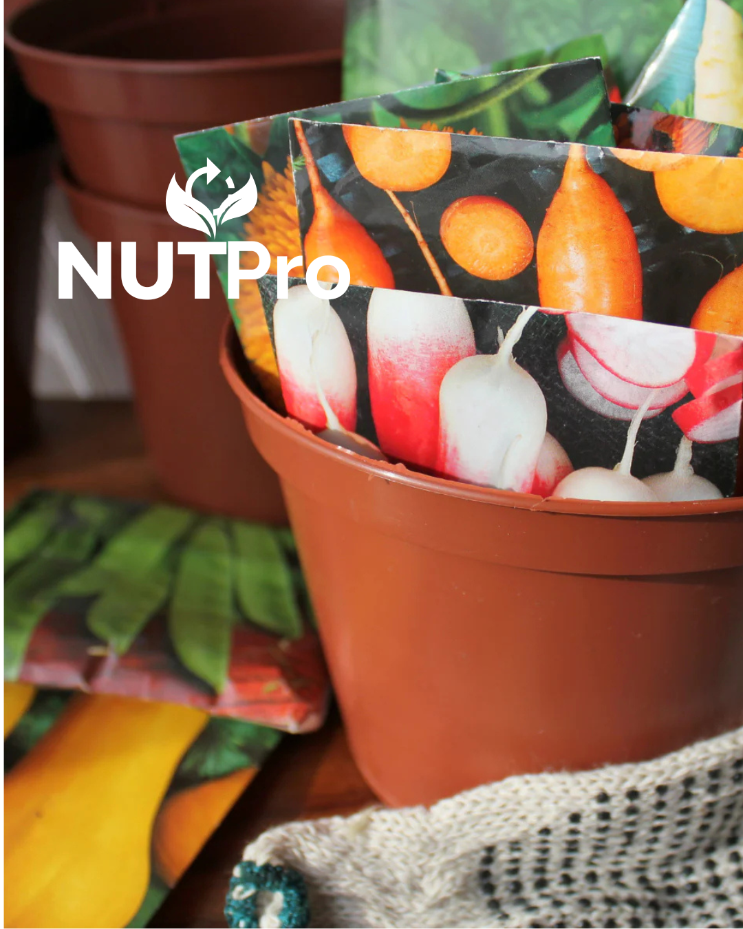 semillas para tu huerto y medicina natural