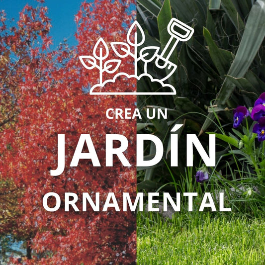 Un Jardín Encantador