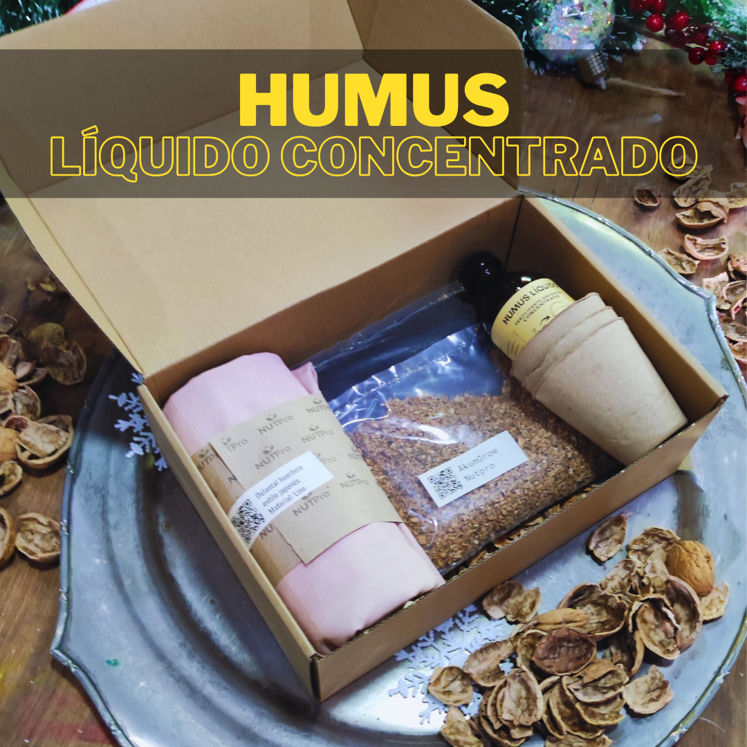 Kit Huerto Cultiva tus Sueños