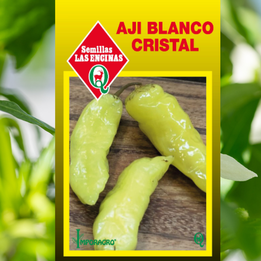 Semilla Ají Blanco Cristal