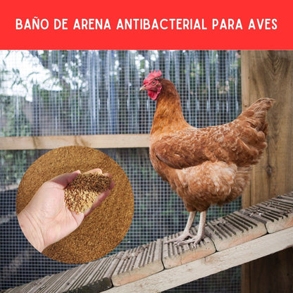 AkumBed Baño de Arena Antibacterial para aves 10 kilos