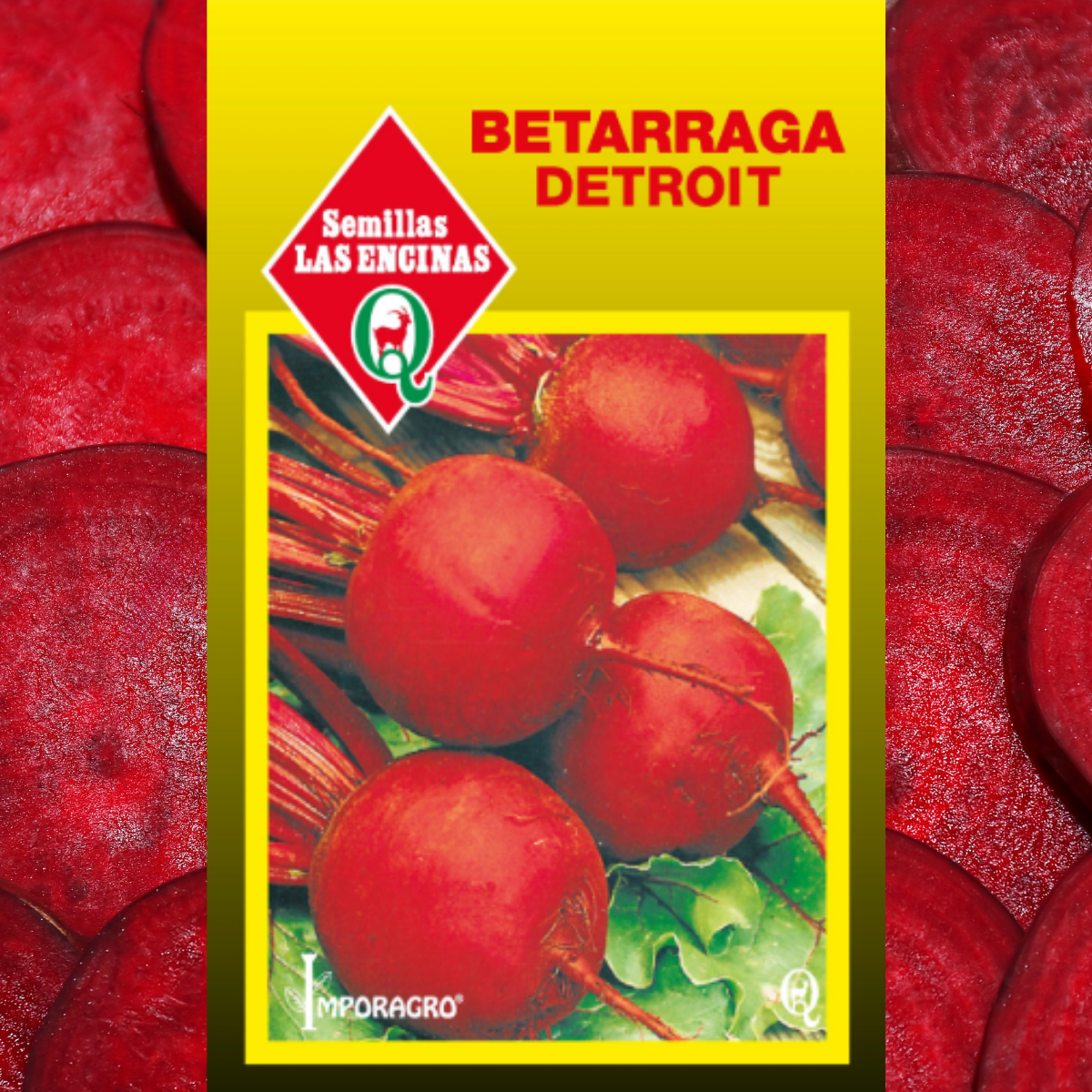 Semilla Betarraga Detroit