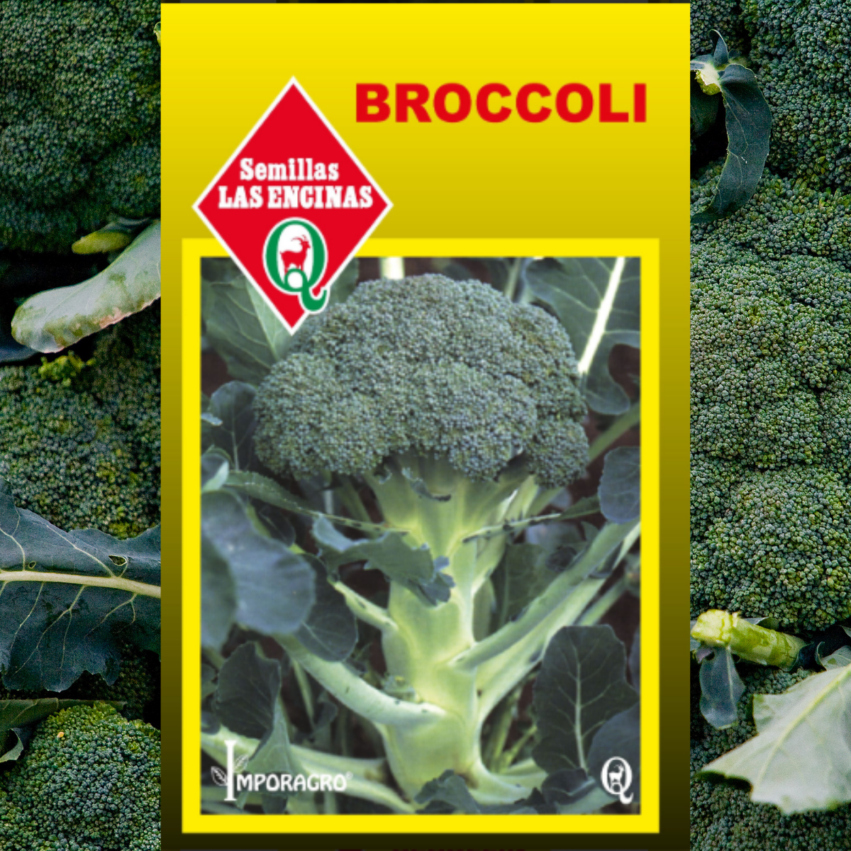 Semilla de Broccoli