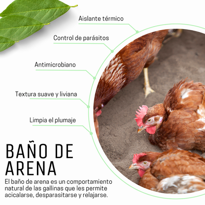 Baño de Arena para aves 40 Litros