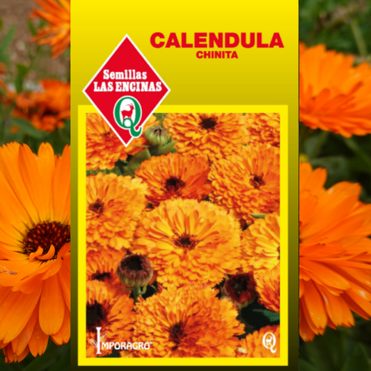 Semilla Caléndula