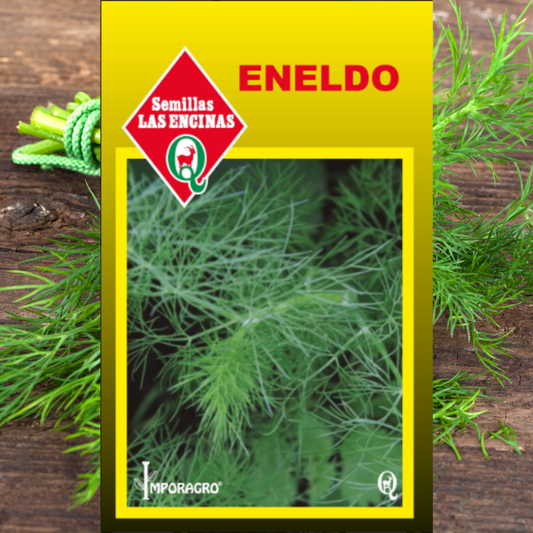 Semilla Eneldo