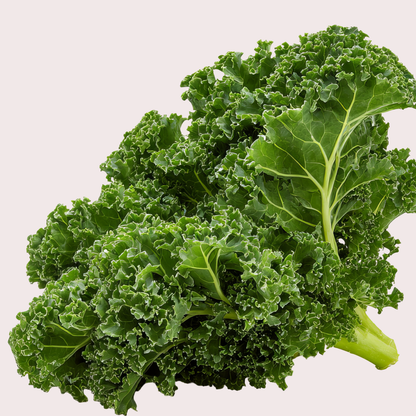 Semilla Kale Risado