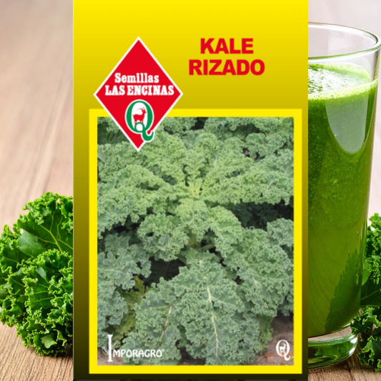 Semilla Kale Risado