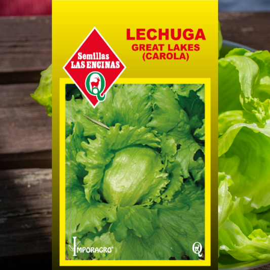 Semilla Lechuga Grat Lake (Carola)