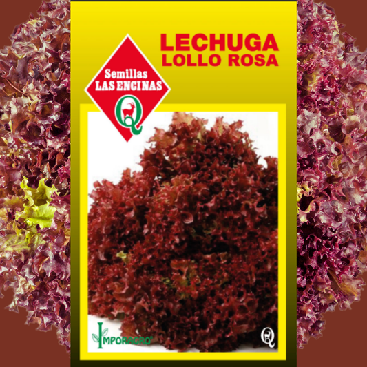 Semilla Lechuga Lollo Rosa