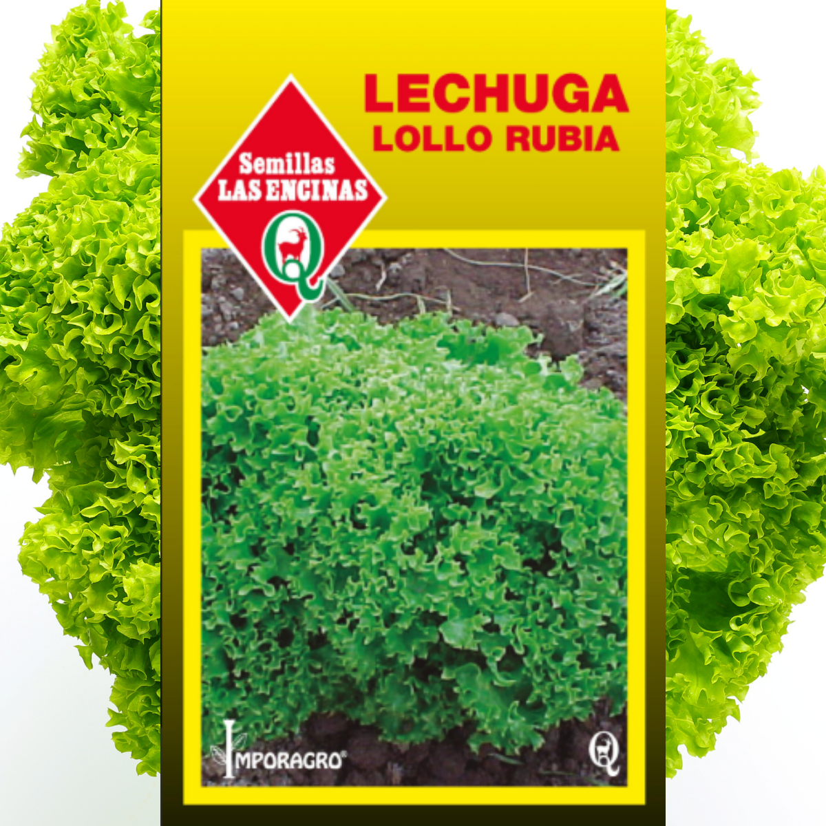 Semilla Lechuga Lollo Rubia