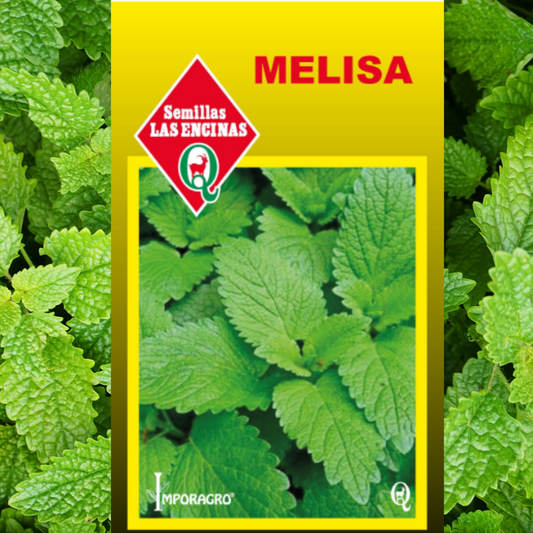Semilla de Melisa