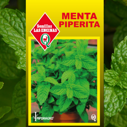 Semilla Menta Piperita
