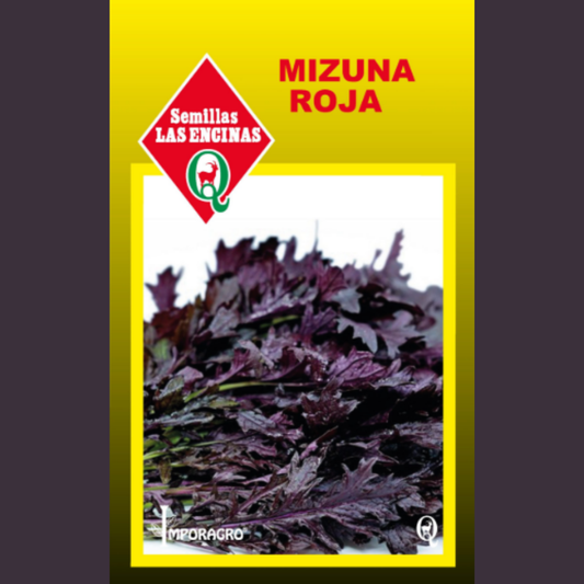 Semilla Mizuna Roja