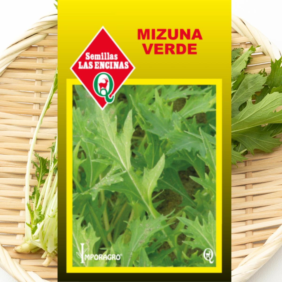 Semilla Mizuna Verde