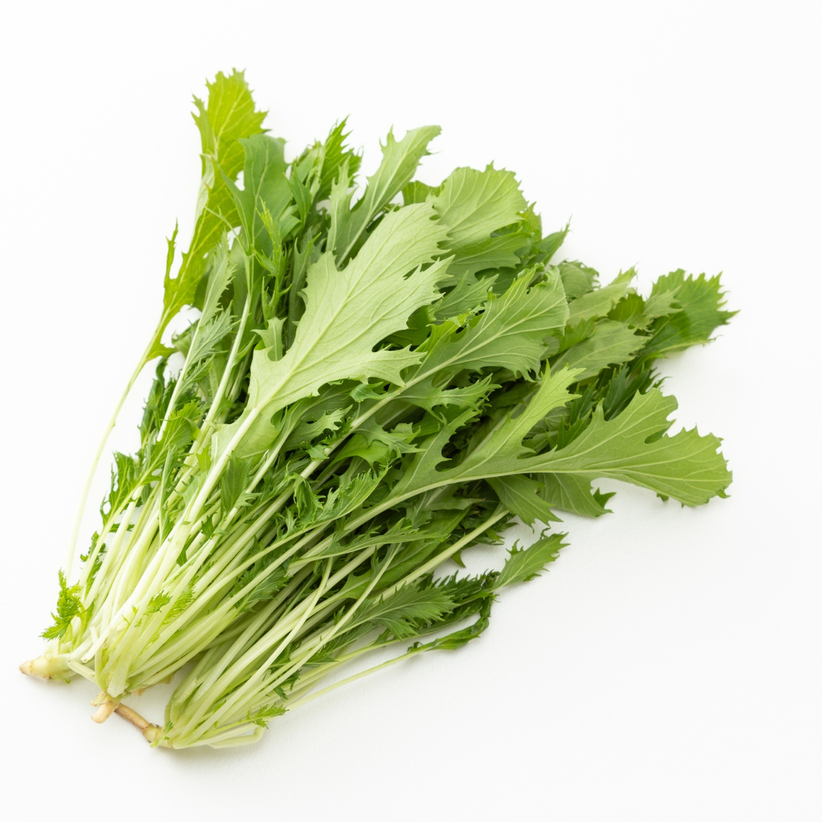 Semilla Mizuna Verde