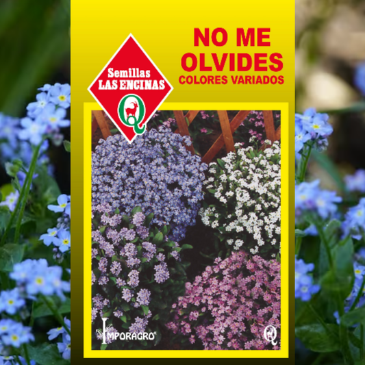 Semilla No Me Olvides