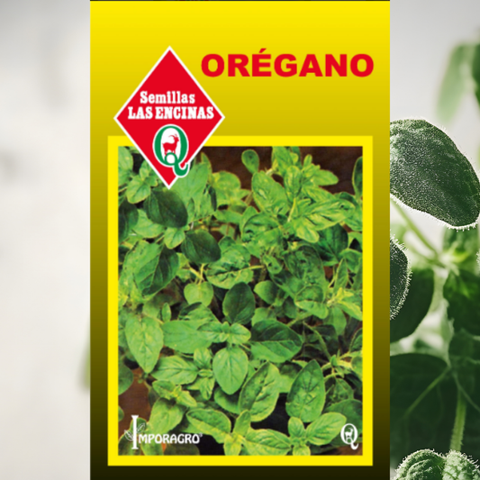 Semilla de Orégano
