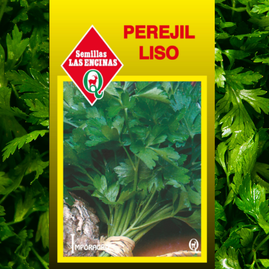 Semilla Perejil Liso