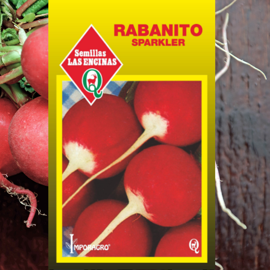 Semilla Rabanito Sparkler