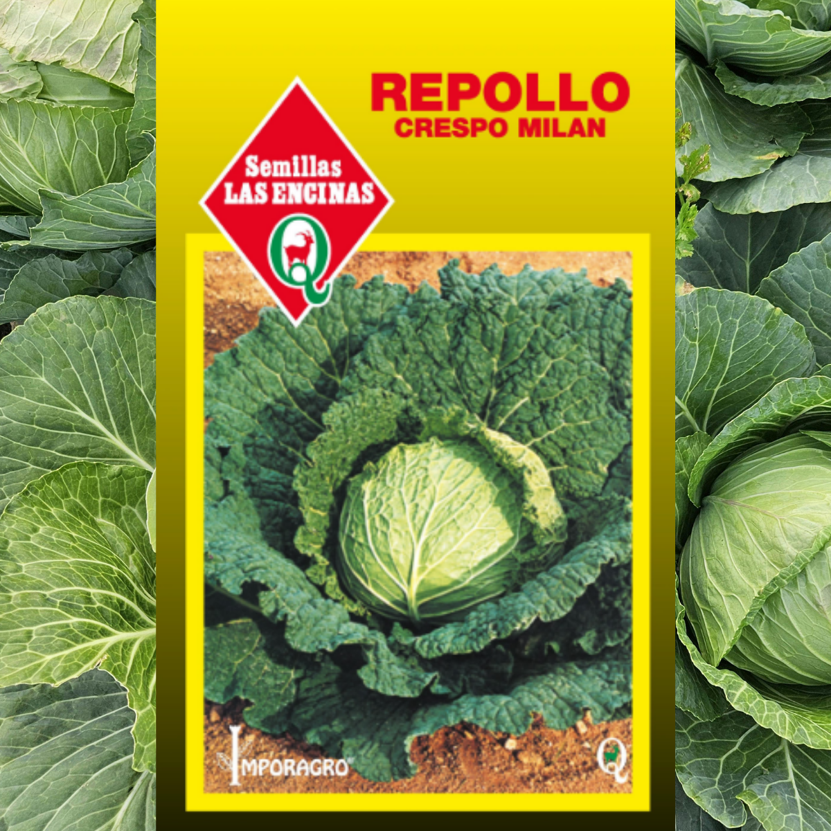 Semilla Repollo Crespo – Nutpro