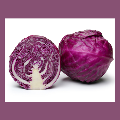 Semilla Repollo Morado