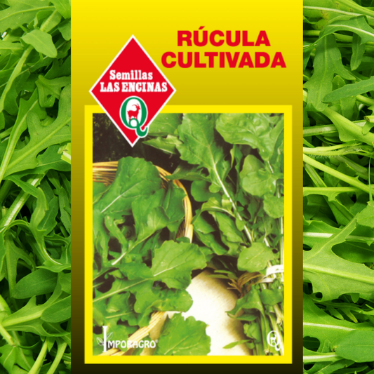 Semilla Rúcula Cultivada