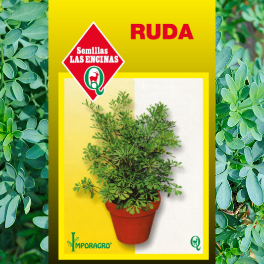 Semilla de Ruda