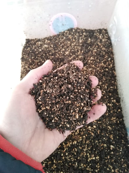 Pack Perlita de Cáscara de Nuez AkumGrow 20Lts