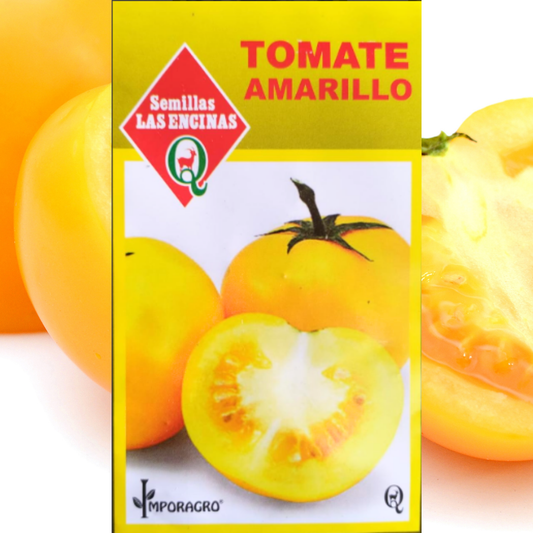 Semilla de Tomate Amarillo