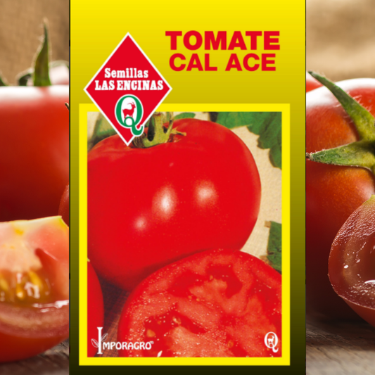 Semilla Tomate Cal Ace