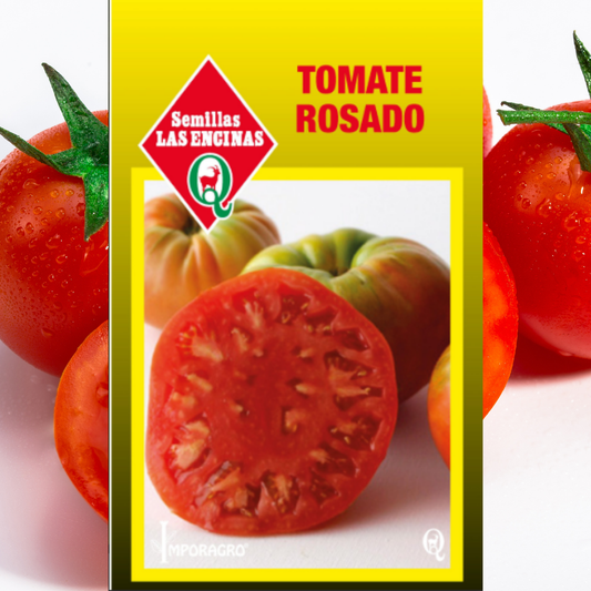 Semilla Tomate Rosado