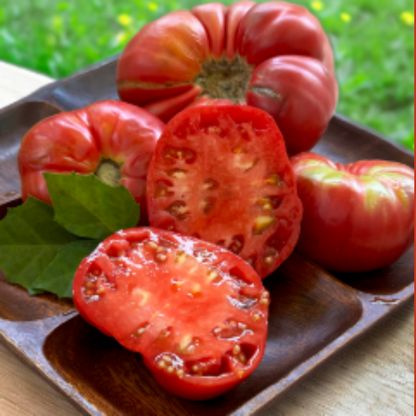 Semilla Tomate Rosado