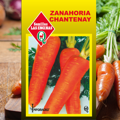 Semilla Zanahoria Chantenay